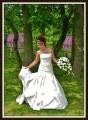 Xquisite Wedding Photographer 1065341 Image 4